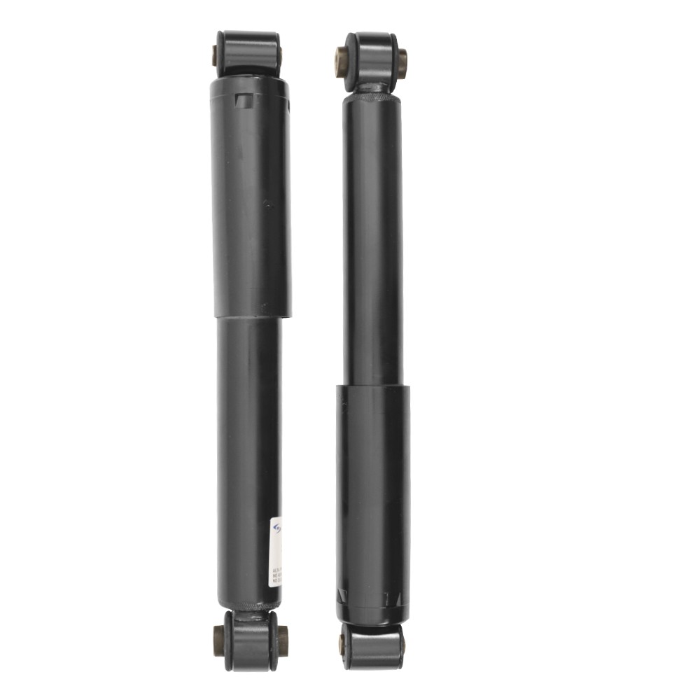 foto de ZF316 261